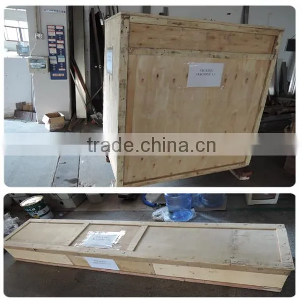 Muffin Automatic Packaging Machine