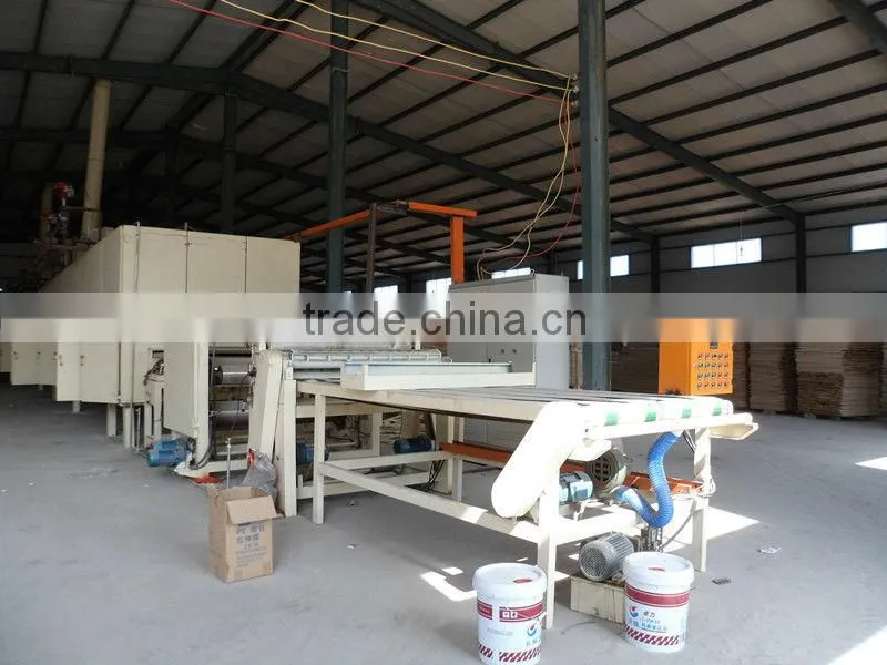 Poplar plywood with poplar veneer with best price and high quality