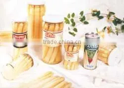 China New crop canned asparagus Canned vegetables Canned White Whole Asparagus