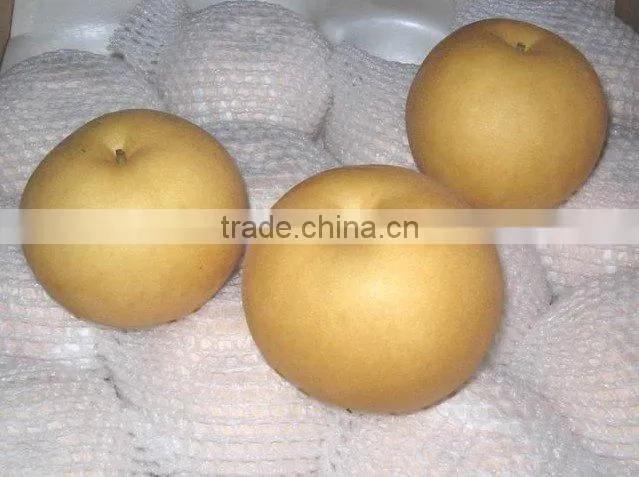 chinese ya pear