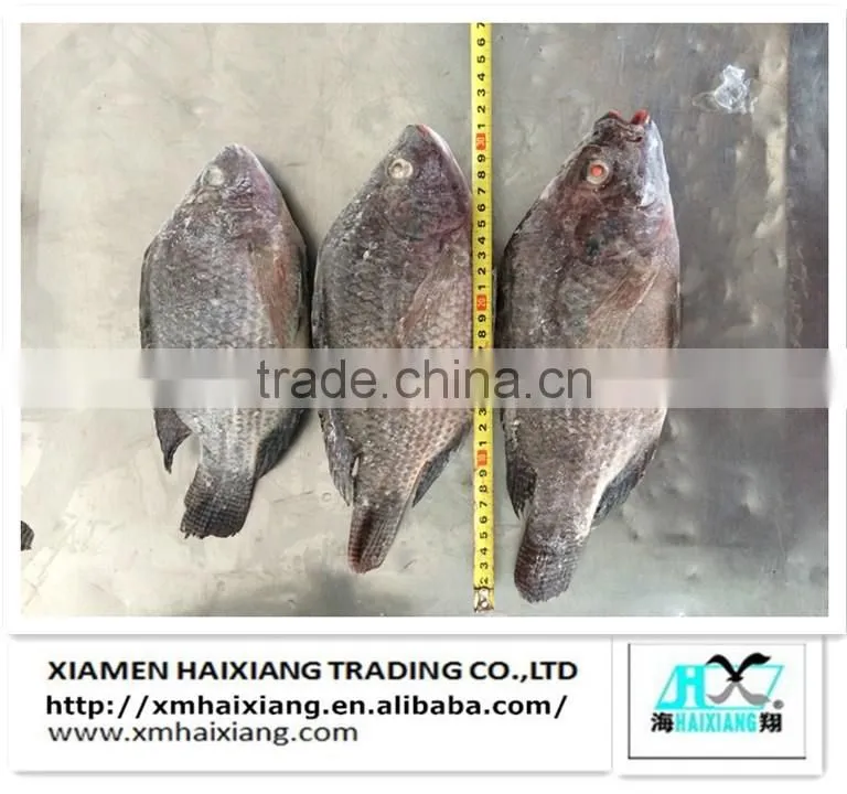 Mackerel fish price