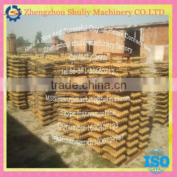 Best selling waste paper egg tray production line with low price//0086-15838061756
