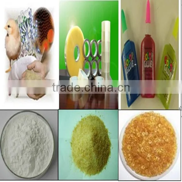 produce match gelatin/adhesive techncial gelatin/gelatin supplier in China