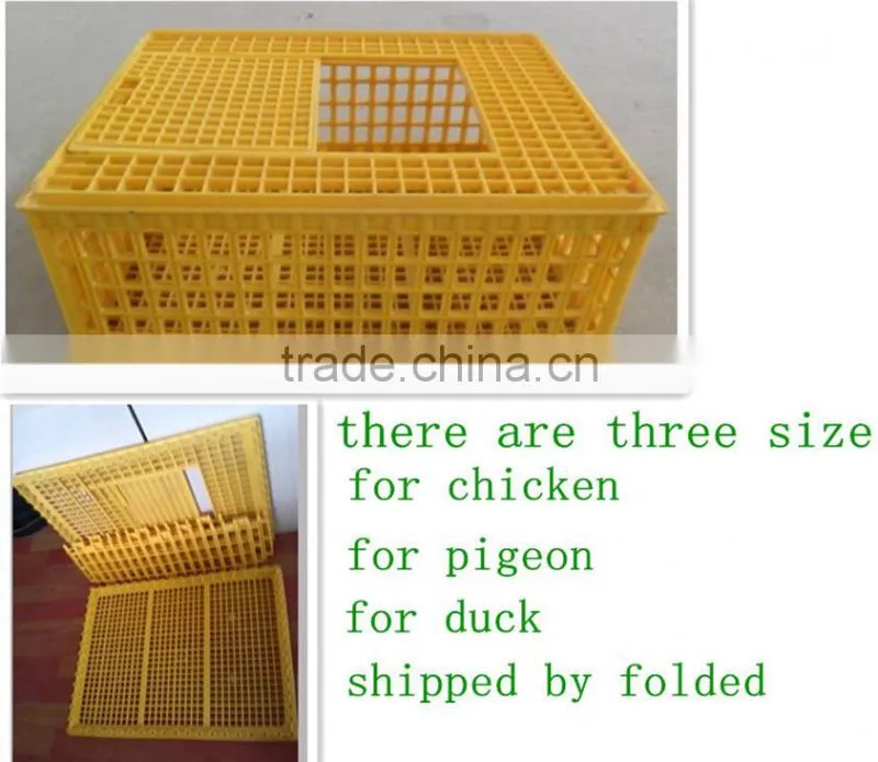 solid plastic pigeon transport cage