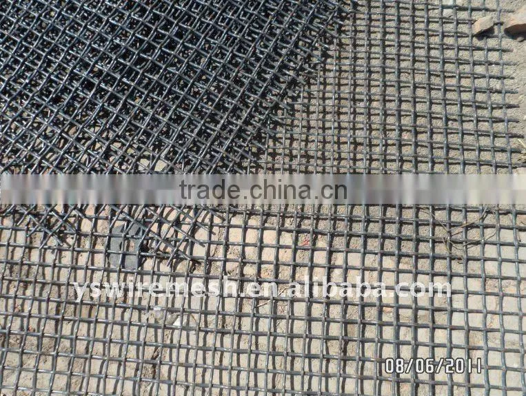 screen mesh for a crusher