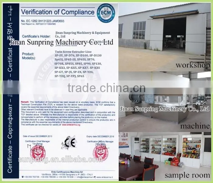 pre-gelatinized starch processing machine Modified Starch Processing Machine