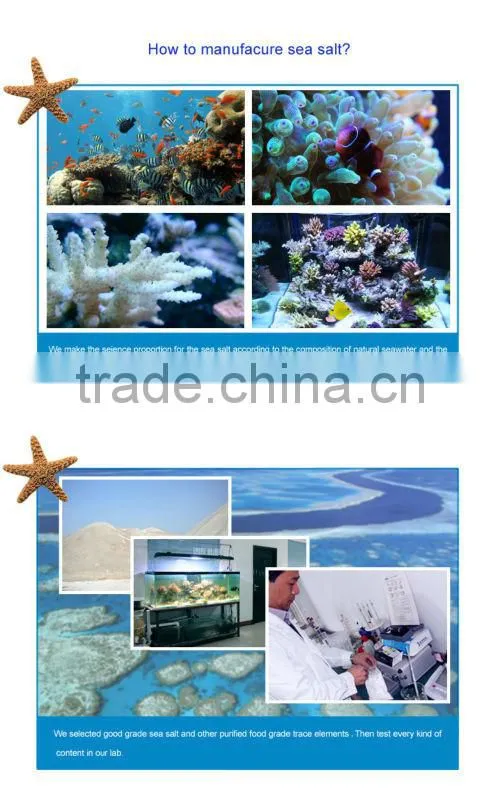20KG/Carton Best Seller Aquaculture Shrimp Sea Salt(HZY021)
