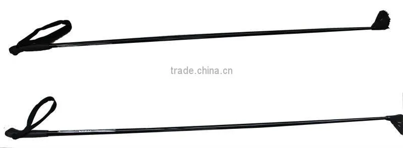 Alpine Ski Pole