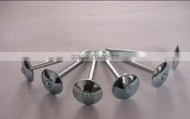 roofing nails for construction