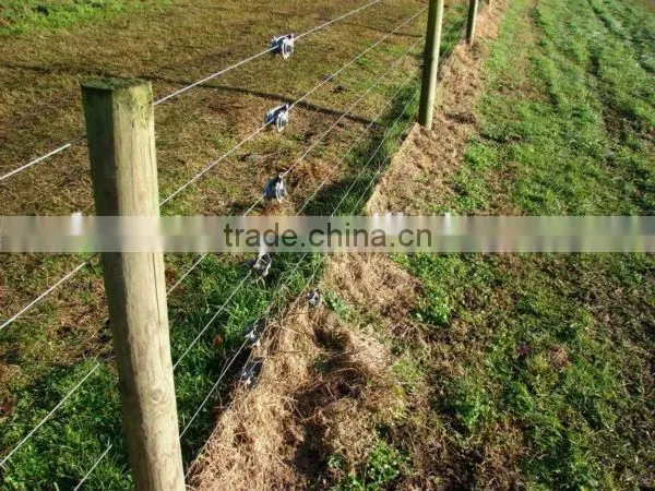 Electric Fence