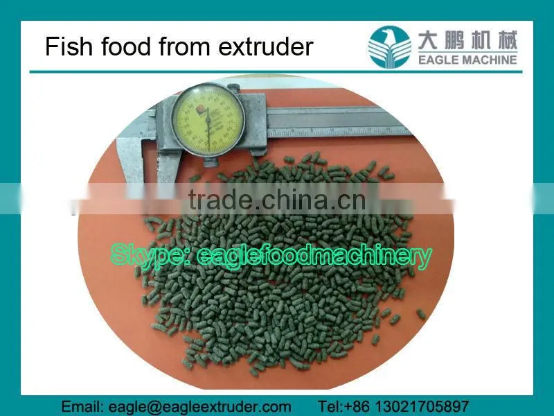 2011 year Jinan Eagle Floating fish food making equipment shipment to Indonesia