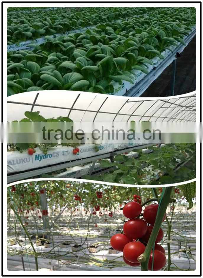 Rock wool grow bag/cube for greenhouse hydroponic