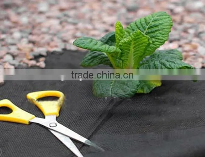 Plant Protector Sheet