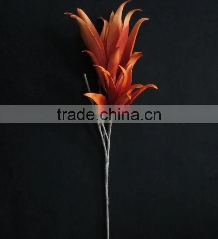 new items 2016 flowering succulent plants