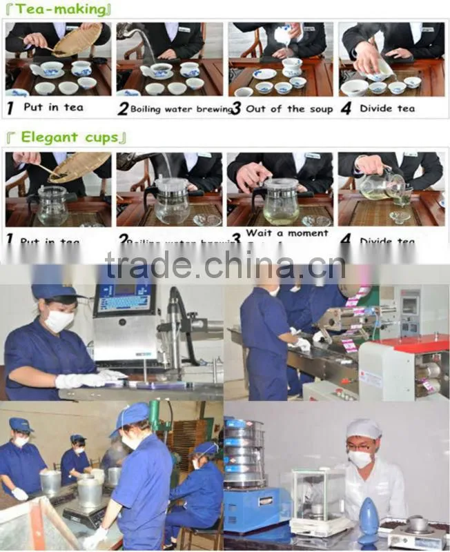 Hot Selling Herbal Detox Tea/Weight Loss Tea Coffee Body Scrub Tea Bag (custom service)