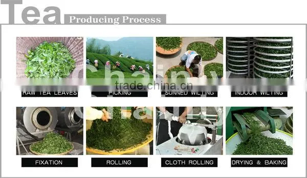 Materials for bubble tea green tea leaves green tea latte green tea supplier