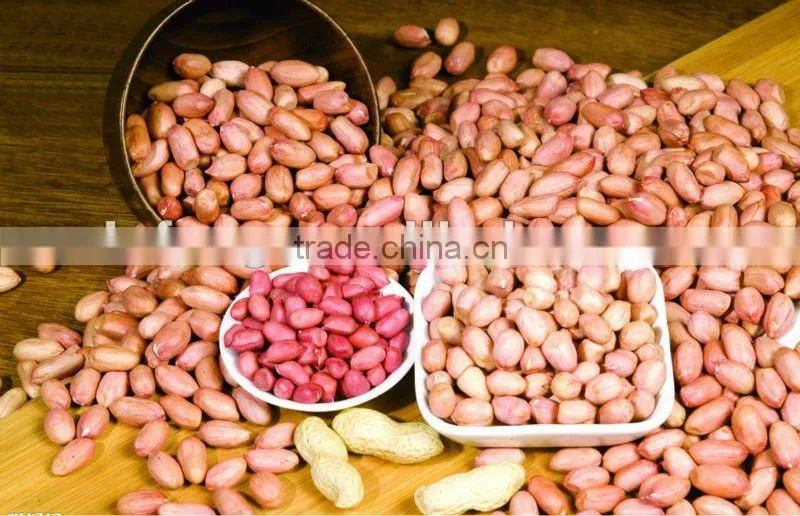 Roasted Peanut Inshell