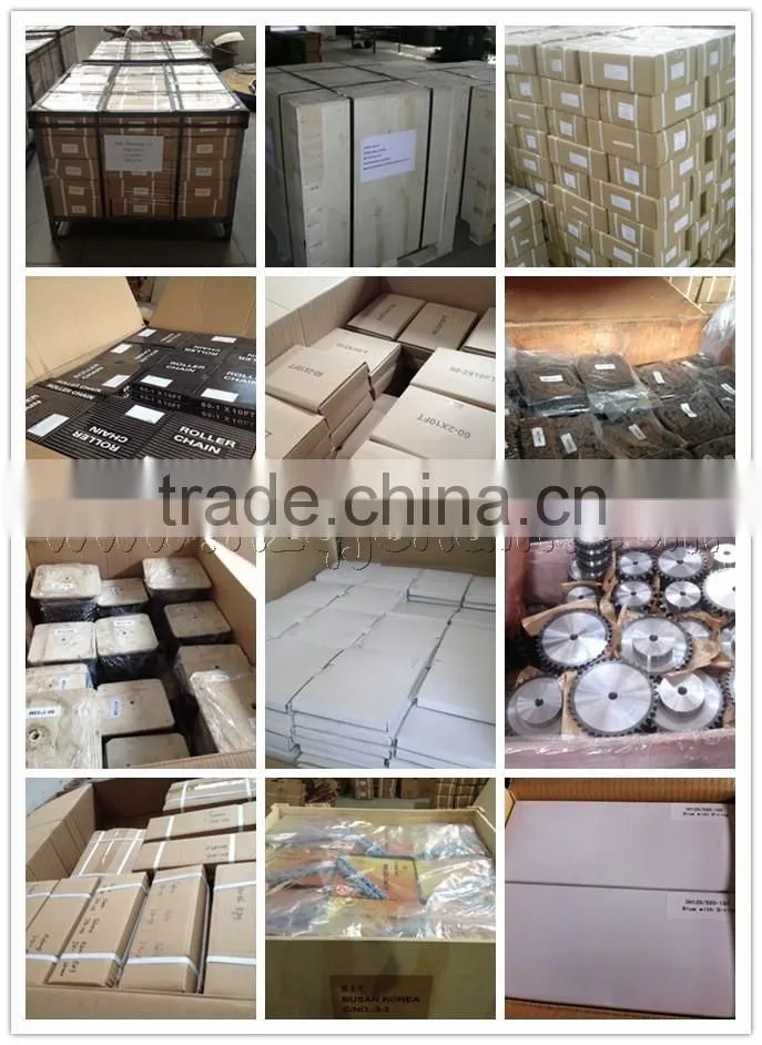 BS25-C212A Stainless Steel Speed-Fold Conveyor Chain