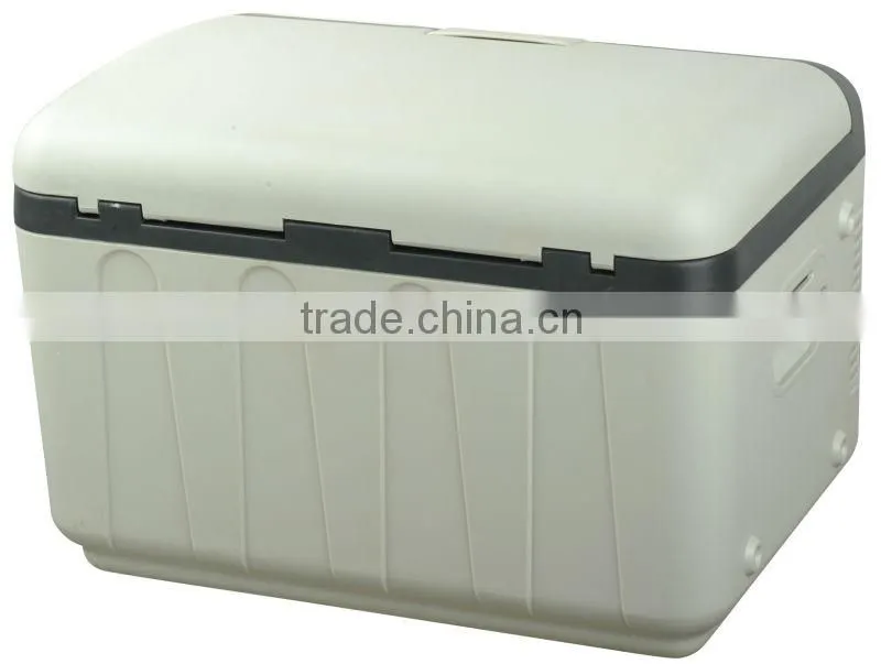Fashion Style Semiconductor 12L Car Fridge for Office
