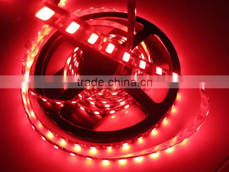Torshare 2014 new products GS/CE, ROHS, ERP approved 3528/5050 waterproof IP68 Flex LED Strip