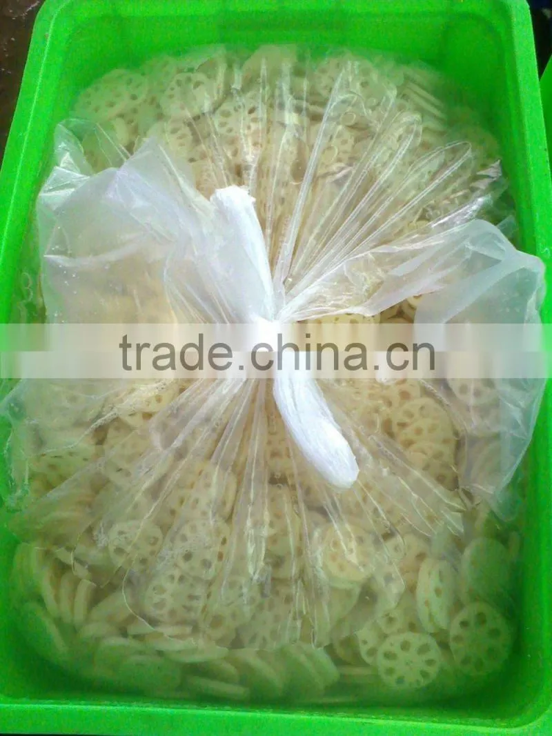 FROZEN LOTUS ROOT WITH BEST PRICE AND GOOD QUALITY