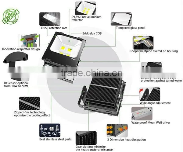 Factory price Bridgelux COB LEDS and Meanwell driver outdoor 50w led floodlight