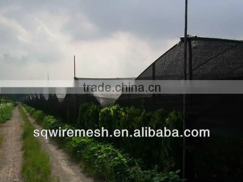 Out Door NEW HDPE sun shade net made in China