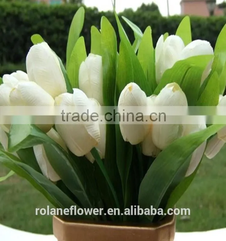 Graceful high quality white tulip flower for exporting