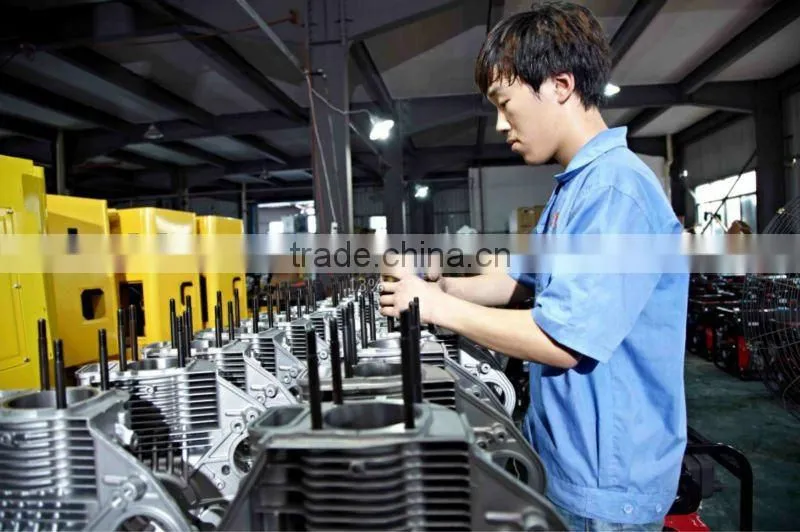 Portable Diesel Engine (AD178)