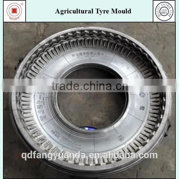 Chinese Revised Agricultural Tyre Mould