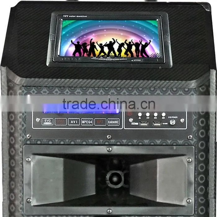 2014 most popular dual 12 inch big power speaker with dvd,eco power speakers for sale