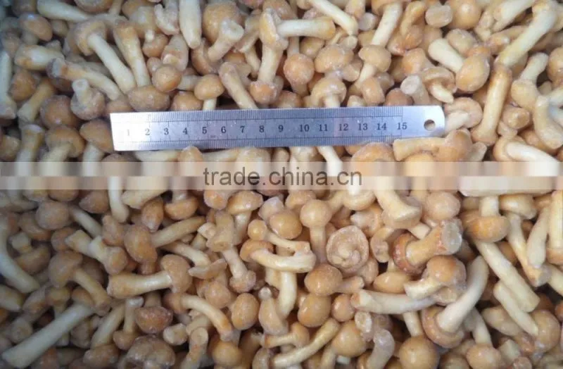 Frozen nameko mushroom from China food supplier