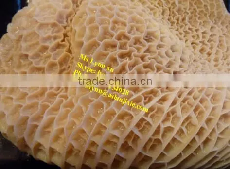 sheep tripe washing machine/cattle tripe cleaning machine
