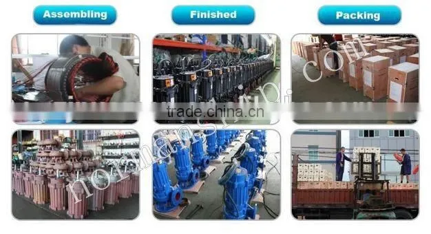WQ Submersiblr Sewage Pump