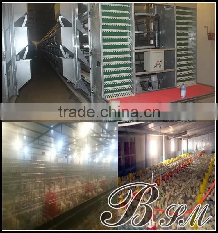 drinking nipples for animal and Poultry,Poultry Chicken Waterer Nipple Drinker,chicken drinker