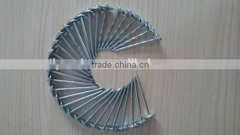 Hot-selling polished common nails / roofing nails / flat head nails