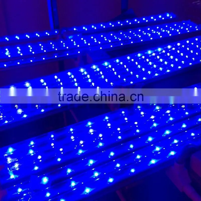 Grow led lights strip,grow led lights strip,blue led bar