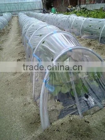 PE agricultura film plastic with pre-dot needle punched hole