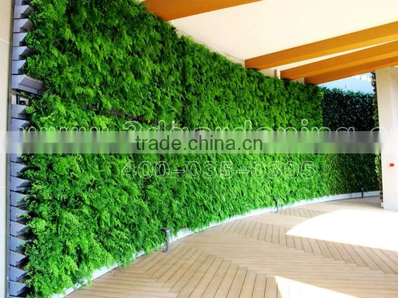 Vertical Garden Green Wall Vertical Garden Planters