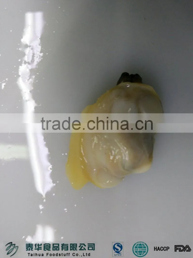 Good quality seafood frozen clam meat on sale