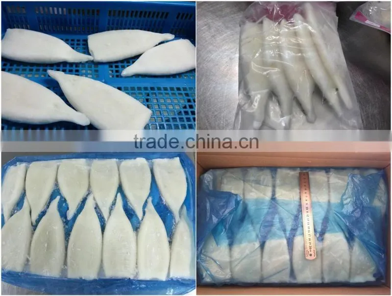 Frozen IQF high quanlity Pacific squid tube