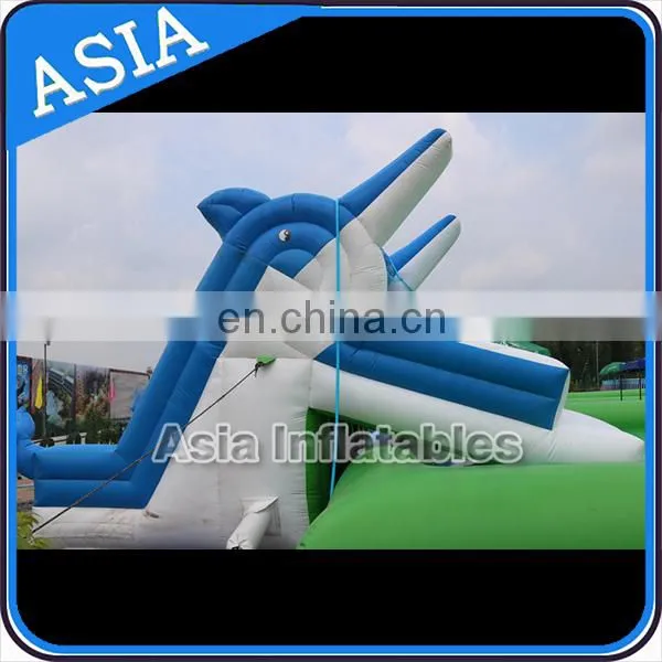 Inflatable Dolphin slide for rent , kids Inflatable slide