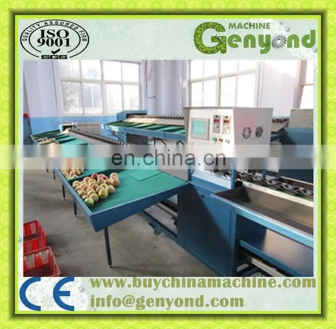 Professional Blueberry Sorter/Fruit Size Sorter Machine