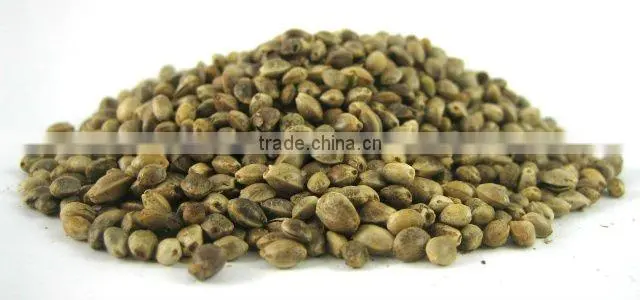 organic hemp seeds for bird feed
