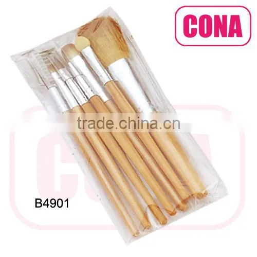 Professional beauty brush
