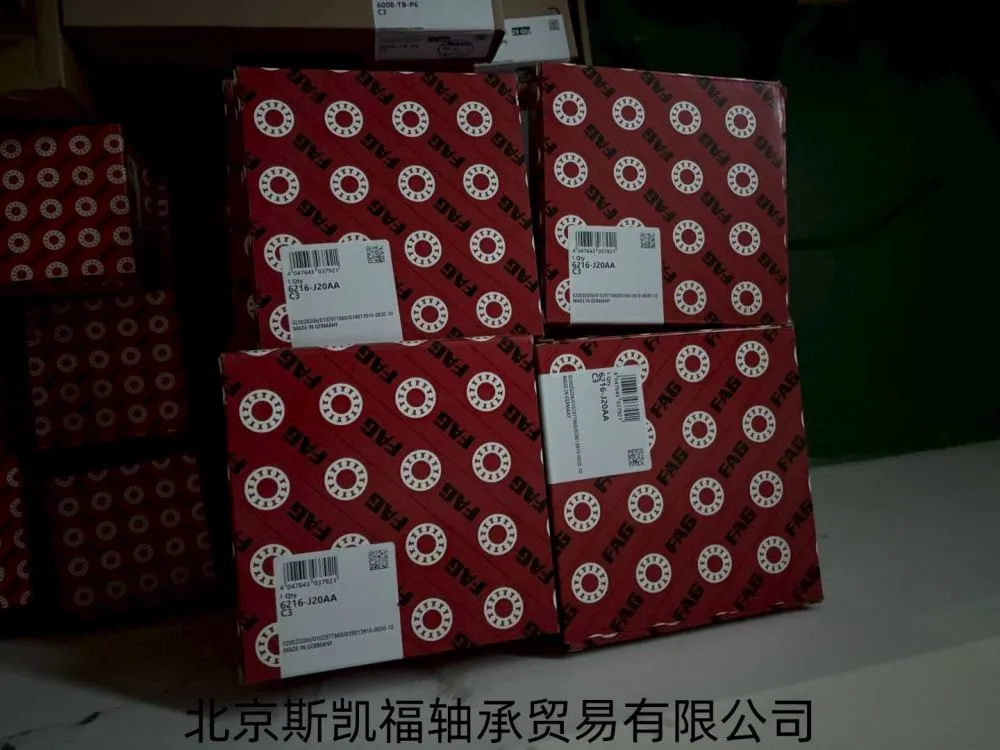 微信图片_20251205105336_41_227_副本