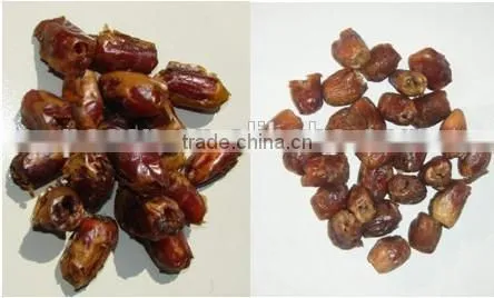 High technology red date pit remove machine / jujube pitting machine / cherry pitter machine
