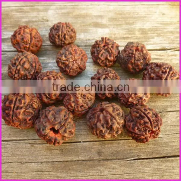 SB6323 Nepal Rudraksha Beads,Rudraksha Mala Beads,Natural Seed Prayer Beads