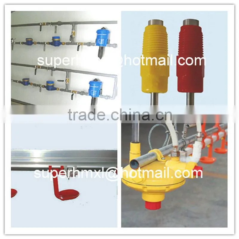 Complete Equipment for Broiler Poultry House