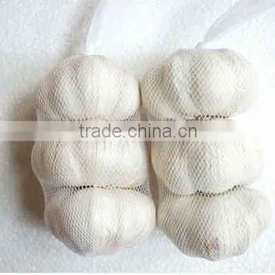 Fresh Garlic